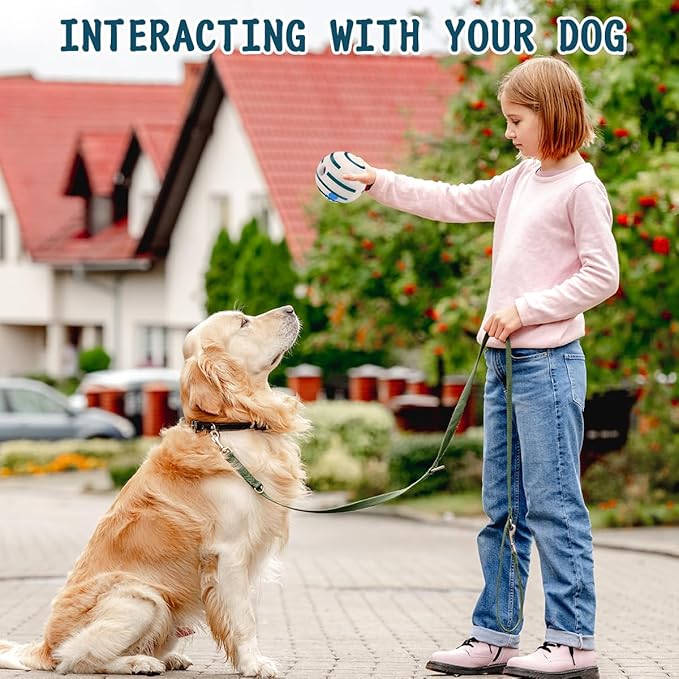 HYQ Glowing Small Dog Toys, Interactive Dog Toys Ball, Squeaky Dog Toys for Small Medium Large Dogs, Puppy Ball Dog Toys to Keep Them Busy (Glow Ball, 3.94 inch)