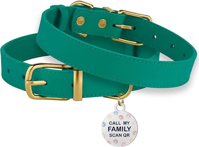 BRONZEDOG Leather Dog Collar with QR ID Tag Basic Pet Collars for Small Mini Dogs Cats Puppies (7-9 Inch (Pack of 1), Green & Gold Buckle)