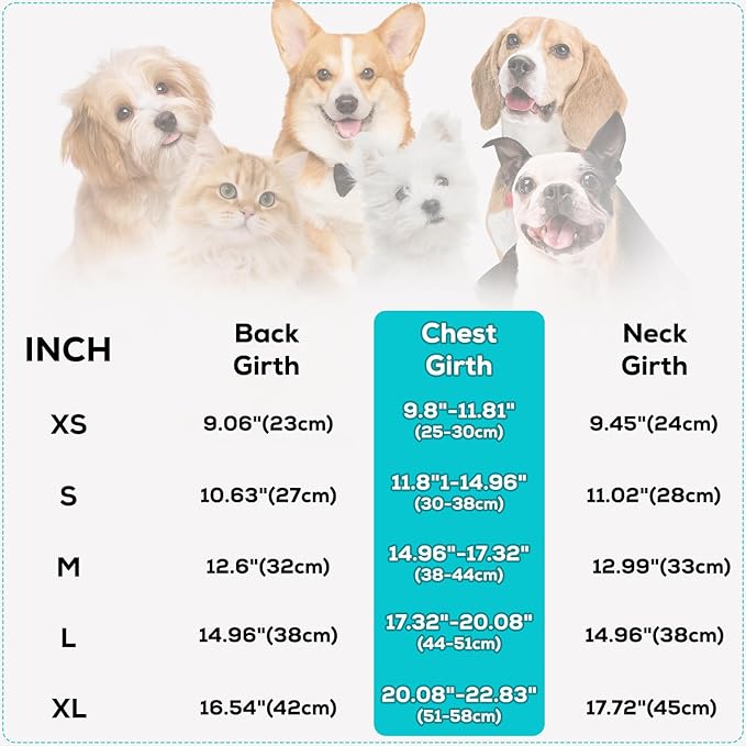 EMUST Dog Feece Jacket, Soft Dog Vest Warm Cold Weather Coats for Small Medium Dogs Boy or Girl for Fall Winter, Grey, L