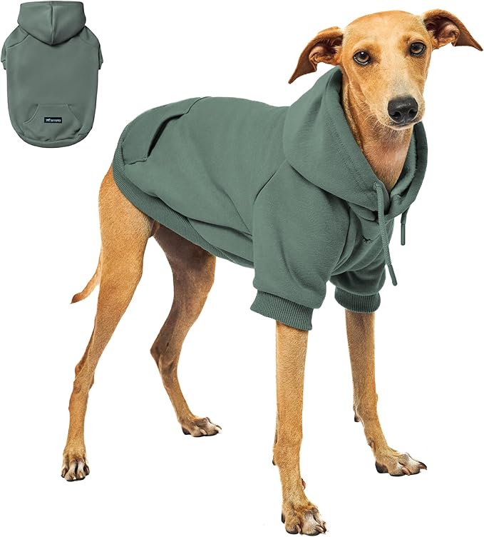 Tuff Pupper Dog Hoodie | Premium Quality 100% Organic Cotton | Ultra Soft Interior for Superior Comfort | Elastic Cuffs & Drawstring for Warmth | Stretch Fit Suitable for All Breeds (Teal, XS)
