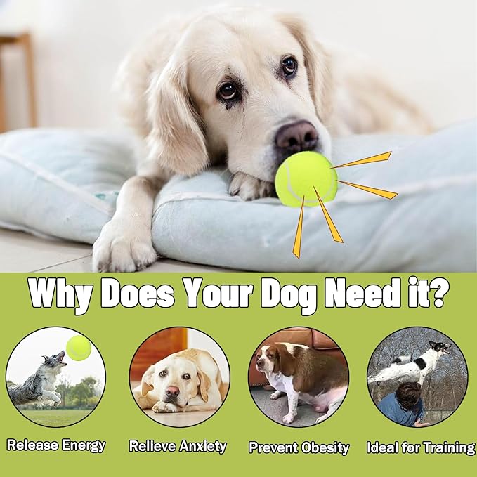 Magicorange Dog Tennis Balls, 20 Pack 2.5 inch Floatable Squeaky Tennis Balls for Fetch Exercise, Natural Rubber Squeaky Dog Balls Training Safe (Multicolor, 2.5inch)