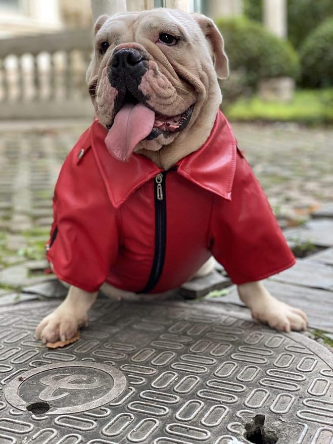 Lovelonglong Cool Dog Leather Jacket, Warm Coats Dogs Windproof Cold Weather Coats for Large Medium Small Dogs with Eagle Embroidery Red B-S