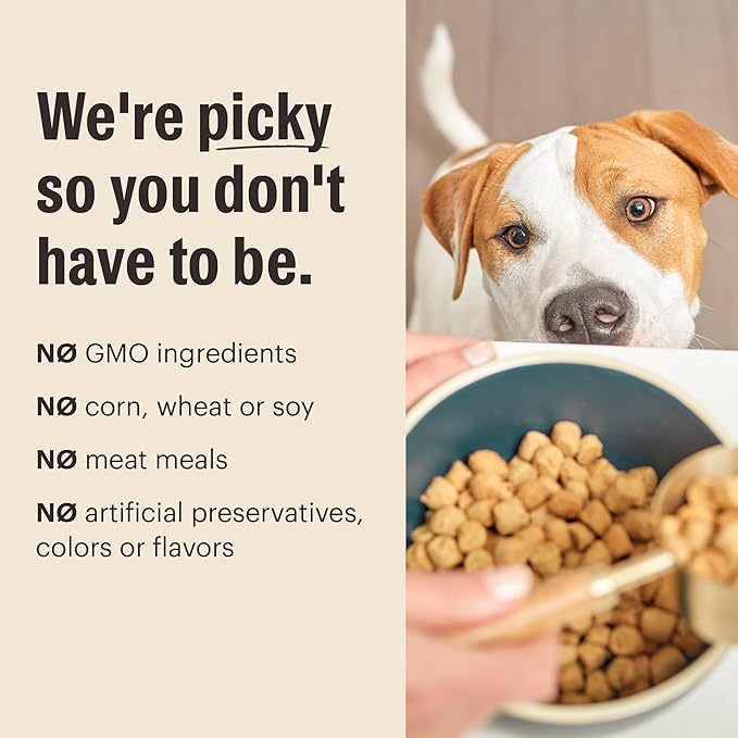 The Honest Kitchen Whole Food Clusters Grain Free Chicken Dry Dog Food, 1 lb Trial Pouch