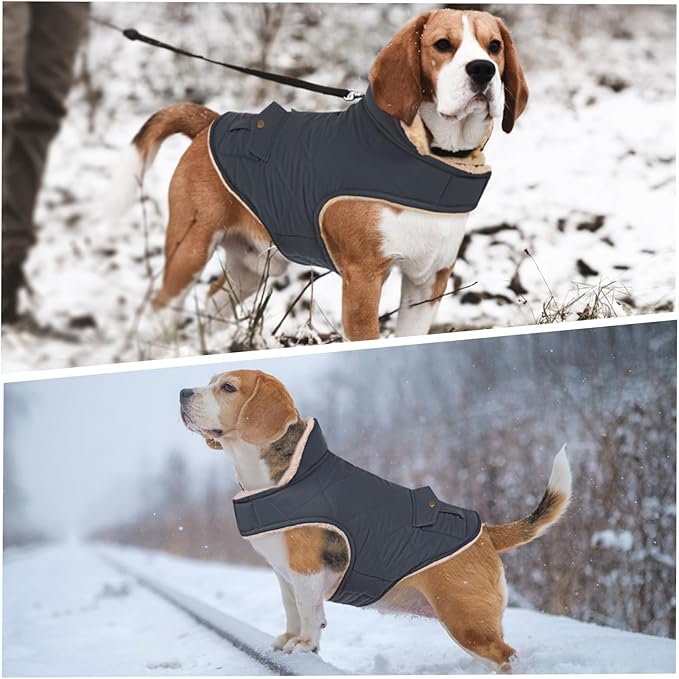 ASENKU Warm Dog Winter Coat, Waterproof Dog Coat for Cold Weather, Fleece Dogs Jacket with Ultra Thick Plush Lining Leash Hole Storage Pockets for Small Dogs (Navy Blue, X-Small)
