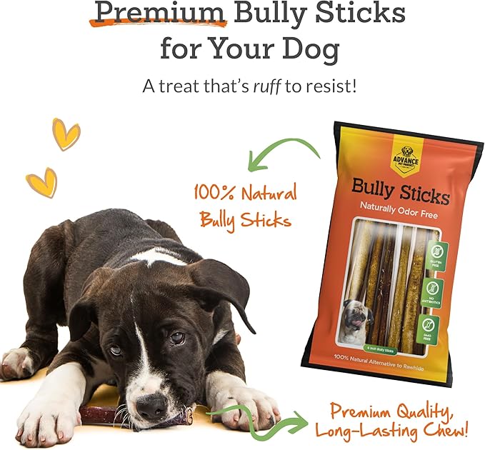 Advance Pet Products 6 Inch Bully Sticks (Pack of 10) - 100% Beef, Odor Free Dog Chews for Aggressive Chewers - Long Lasting, Gluten-Free, Easy to Digest, High Protein & Rawhide Free Chews for Dogs