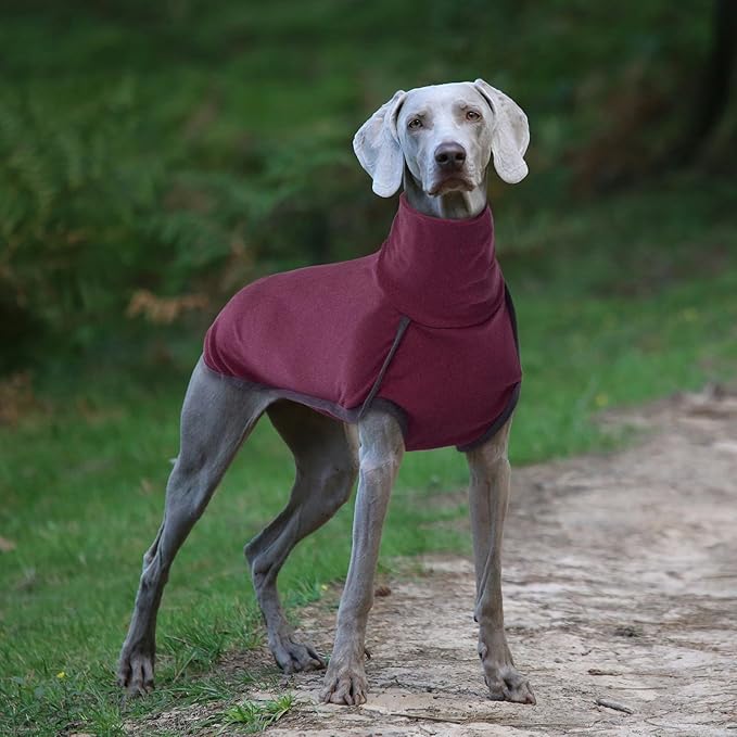 ROZKITCH Dog Shirt for Large Dogs, Pet Windproof Warm Cold Weather Jacket Vest Cozy Jumpsuit Apparel Outfit Clothes for Walking Hiking Travel Sleep Red 2XL