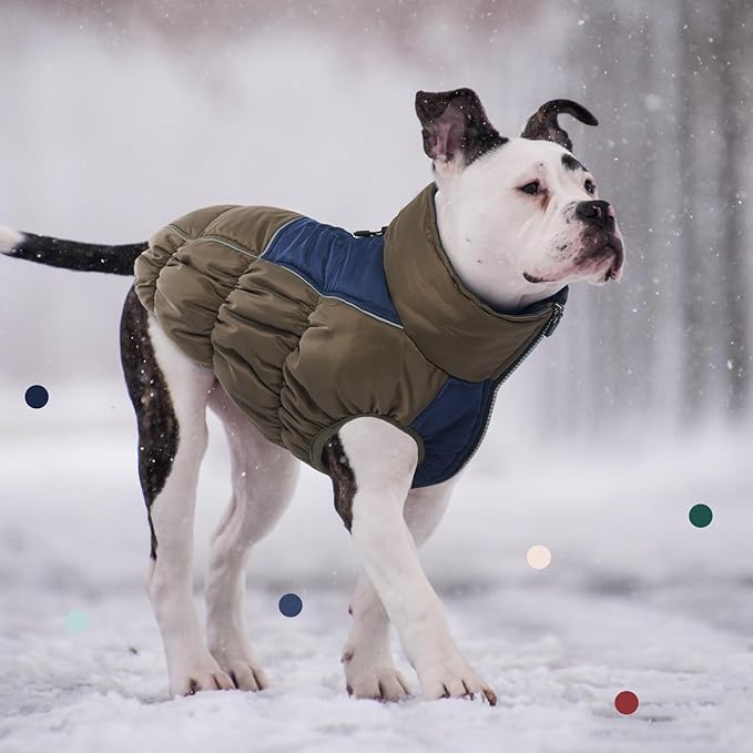 IECOii Extra Large Dog Coat, XXL Waterproof Snow Jacket with Fleece Lined, Reflective Turtleneck, Zipper for Large Dogs