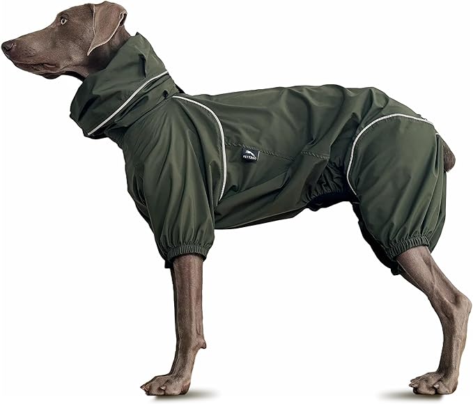 Dog Lightweight Windbreaker, Dog Outdoor 4-Legs Jacket, 0.5 lbs,Durable Water Repellent, Hooded, Easy on/Off with Collar and Harness, Reflective, Packable,Dark Olive (X-Small)