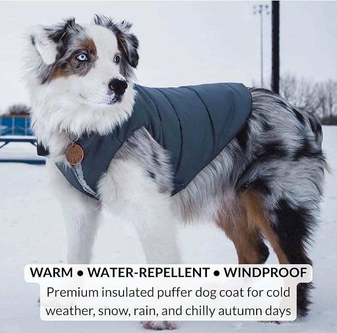 DJANGO Reversible Puffer Dog Coat – Warm Winter Dog Jacket & Water-Repellent Insulated Dog Coat w/Harness Hole, Windproof, Adjustable Fit for Small & Medium Dogs, Dachshunds – Twilight Blue, X-Small