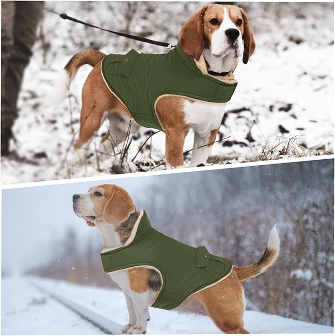 ASENKU Warm Dog Winter Coat, Waterproof Dog Coat for Cold Weather, Fleece Dogs Jacket with Ultra Thick Plush Lining Leash Hole Storage Pockets for Small Dogs (Green, Small)