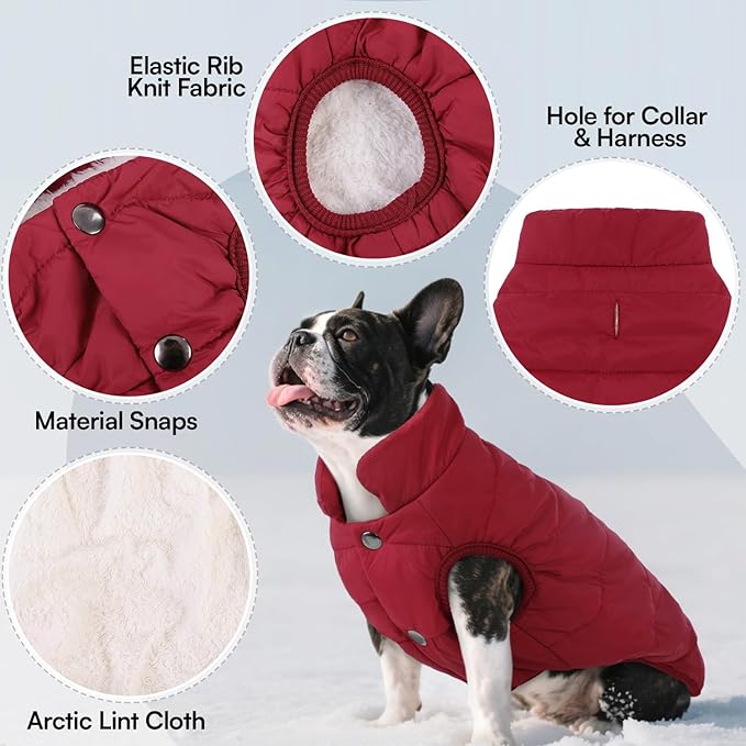 ASENKU Dog Winter Coat - Waterproof Windproof Dog Jacket, Warm Snowproof Doggie Puffer Vest for Cold Weather, Lightweight Snow Coats for Small Medium Large Dogs（XS, Red