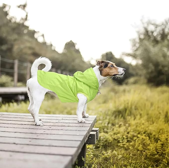 Dog Raincoat rain Jacket Dogs Waterproof fit for Small Medium Breeds Zipper Closure Pocket Storage in Cold Day - Light Green - XS