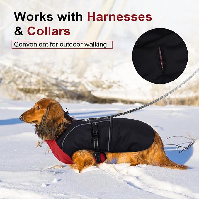 Lelepet Dachshund Coat Warm Dog Winter Coat Waterproof Dog Jacket with Fleece Lining, Reflective Outdoor Dachshund Snowsuit with Leash Hole Adjustable Neckline,Coats for Small Medium Dogs,Red, L