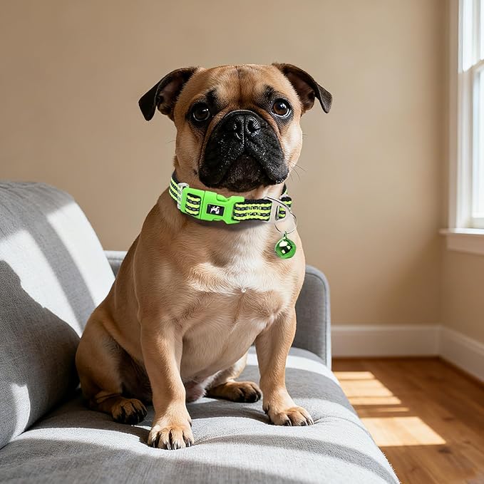 Small Dog Collar with Bell Reflective - Adjustable Tiny XS XXS Breed Collar for Girl Boy Chihuahua Puppies, Night Walk Safety Accessory（Green S）