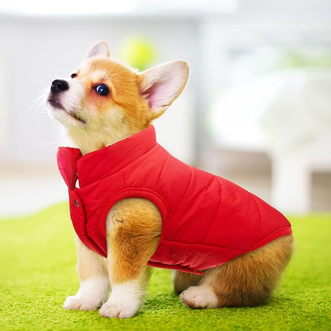 Syhood 2 Pieces Dog Jacket 2 Layers Fleece Lined Dog Jacket Warm Soft Windproof Small Pet Coat for Winter Cold Weather(XL, Navy,Red)