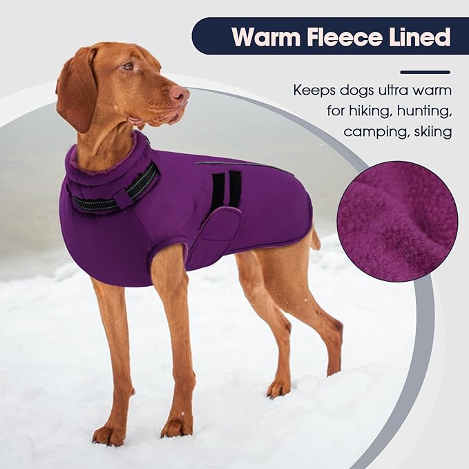 IECOii Big Dog Winter Coat for Giant Breed Dogs Waterproof Dog Jacket with Built in Collar, Reflective Dogs Coat Pet Snow Jacket for Great Dane Saint Bernard, Easy Outdoor Walking, Purple - 5XL