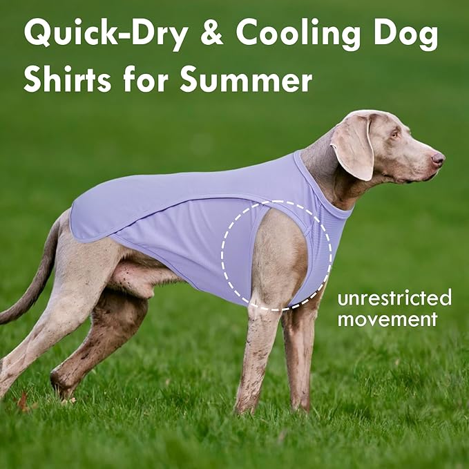 2 Pack Dog Shirt Quick Dry, Sun Protection UPF50+ Summer Cooling Vest, Soft Lightweight Tshirts for Medium Dogs Allergies Wound Care, Purple+Pink, M