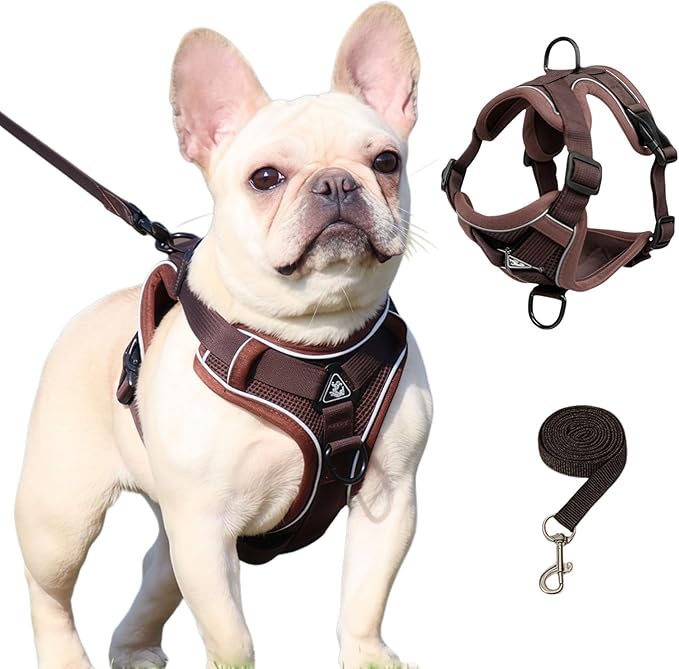 SOLMOONY Small Dog Harness,Soft Mesh Puppy Harness and Leash Set,No Escape Cat Harnesses for Training Walking,Reflective Adjustable Puppy Vest for Small Medium Dogs, Cats (Brown, M)