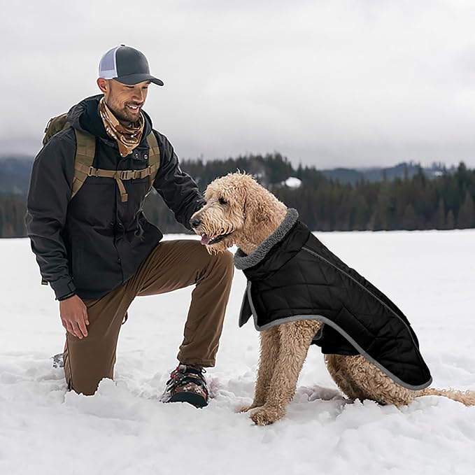 Fragralley Dog Coat Medium, Waterproof Dog Jacket with Warm Fleece Lining, Adjustable Reflective Dogs Winter Coat, Turtleneck Pet Coats for Cold Weather (Black M)