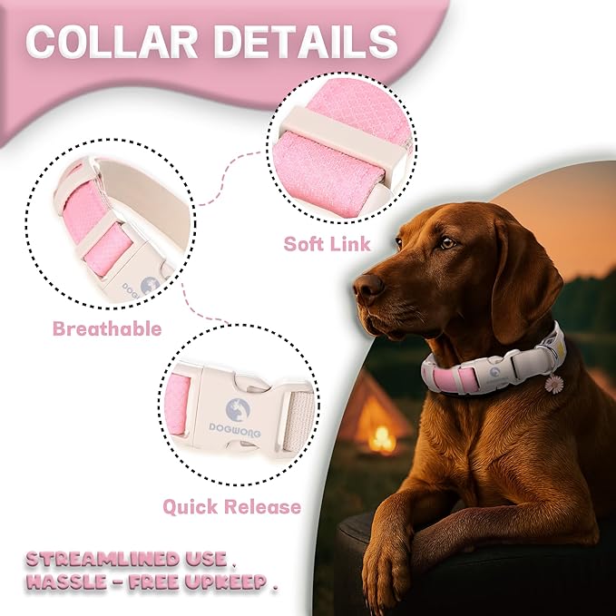 DOGWONG LED Dog Collar - Heavy Duty Light up Collars - Rechargeable Waterproof - Lighted Dog Collar for Night Walking, Hiking, Camping(Pink,L)