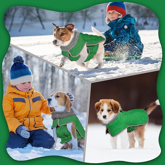 Fragralley Dog Winter Coat, Waterproof Windproof Reflective Fleece Jacket with Harness Hole, Warm Snow Vest for Small Medium Large Dogs, Ideal Gifts