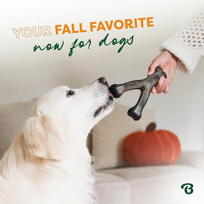 Benebone Pumpkin Spice Wishbone – Limited Edition Flavor, Durable Dog Chew Toy for Aggressive Chewers, Made in USA, Large