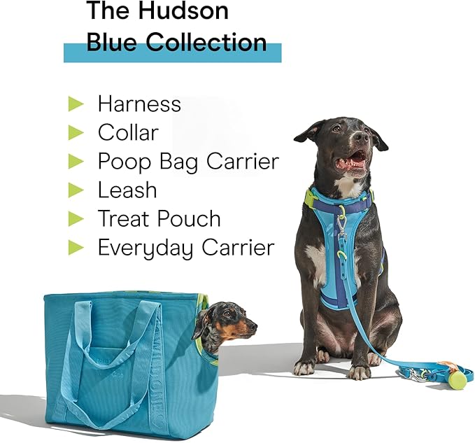 Wild One, Limited Edition, Designer Collection, Blue Dog Collar, Easy-Clean, All Weather Flex-Poly Strap with Metal, Durable, Dirt and Odor Resistant, Medium