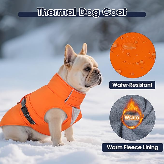 IECOii Large Dog Coat - Reflective, Adjustable & Windproof, Warm Vest for Corgi & Beagle & French Bulldog, Waterproof Fleece Lined Jacket for Hiking, Quick Snap Buckles, Orange, Size L