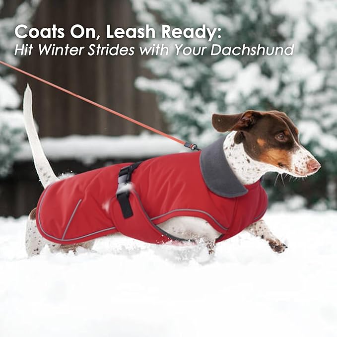 Dachshund Coat Warm Winter Dog Coat - Red, XLarge - Waterproof Dachshund Coat with Fleece Lining, Adjustable Buckle Closure Dachshund Clothes, Christmas Dachshund Snowsuit Harness Hole