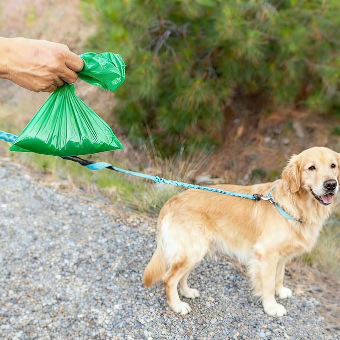 Odor-Sealing Dog Poop Bags M, 220 Count | Unscented & Durable Disposable Waste Bags for Pet Waste, Home & Travel Use (Green)