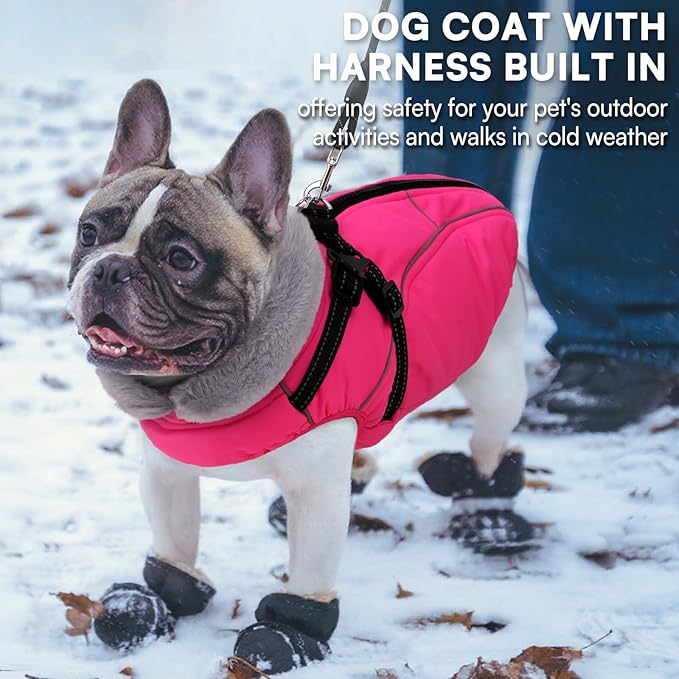 Queenmore Dog Jackets for Large Dogs, Dog Coat with Harness Built in,Waterproof Dogs Coats with Zipper On Back,Warm Fleece Lining Cold Weather Pet Coats with Furry Collar for Labrador,Rosered,L