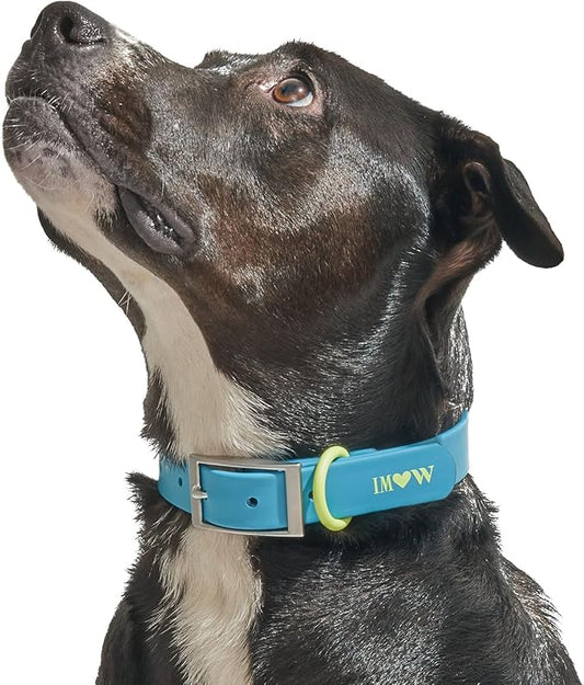 Wild One, Limited Edition, Designer Collection, Blue Dog Collar, Easy-Clean, All Weather Flex-Poly Strap with Metal, Durable, Dirt and Odor Resistant, Medium