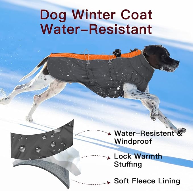 Small Dog Coat - Winter Jacket, Warm Zip Up Snowsuit, Reflective, Water-Resistant, Orange-Gray for Small Dogs, Yorkie, Toy Poodle