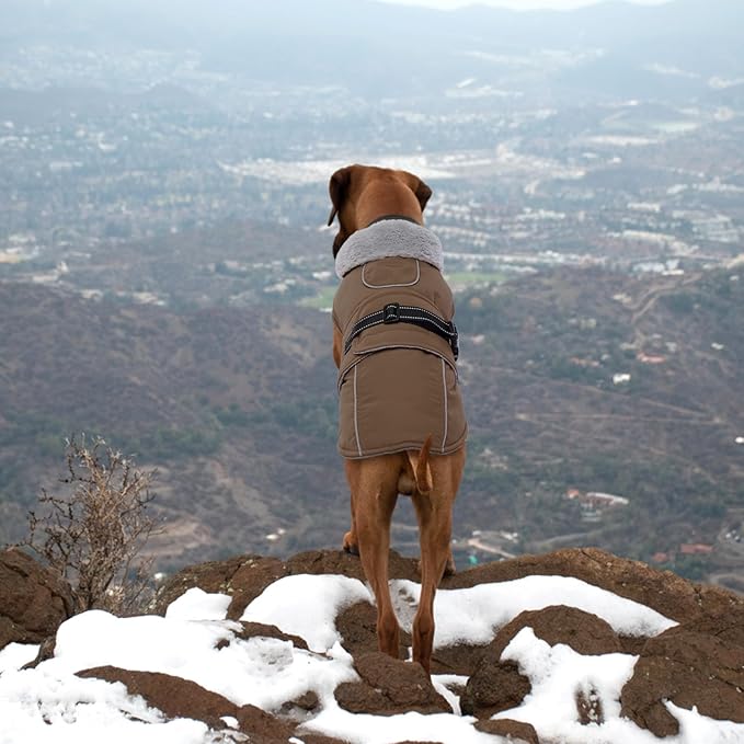 Lelepet Warm Dog Coats for Large Dogs Waterproof Dog Jacket Reflective Pet Fleece Vest Windproof Cold Weather Coats with Adjustable Buckle & Leash Hole, Brown, XXL