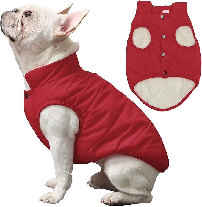 2 Layers Fleece Lined Warm Dog Jacket for Winter Cold Weather,Soft Windproof Medium Dog Coat,Red XL