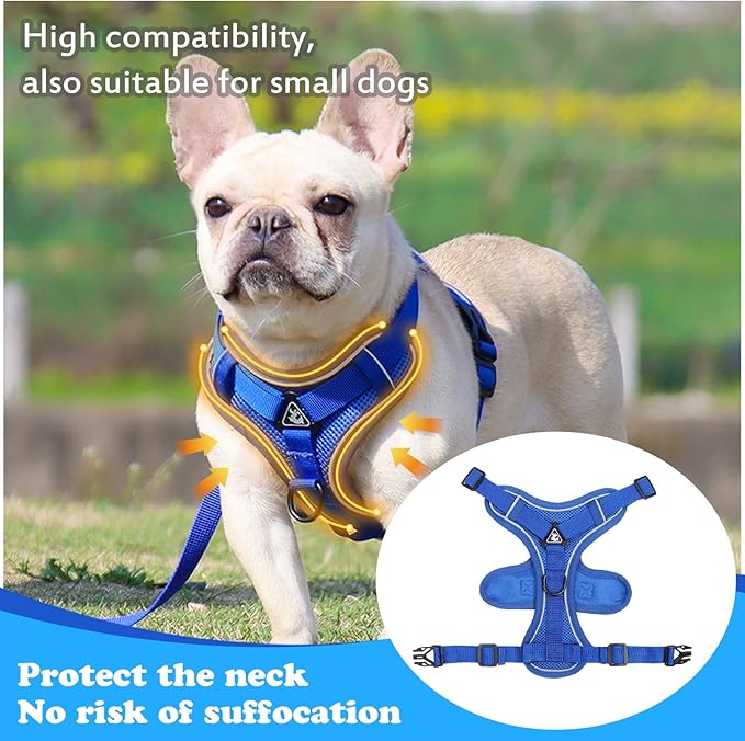 XL Cat Harness Escape Proof for Heavy Cats - Adjustable Vest Leash Set with 4 Buckles, Reflective Breathable Mesh for Extra Large Cats