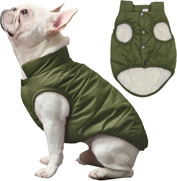 2 Layers Fleece Lined Warm Dog Jacket for Puppy Winter Cold Weather,Soft Windproof Small Dog Coat,Green M