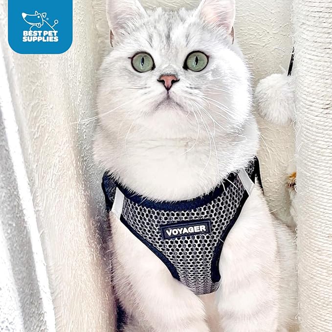 Best Pet Supplies Voyager Step-in Air Harness - All Weather Mesh, Reflective, No Pull Harness for Dogs, Cats - Secure with Hook & Loop Fastener, Buckle, Double D-Rings - Tone, M