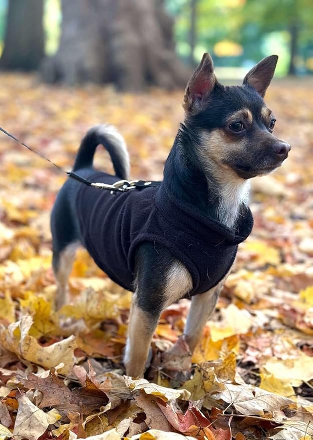 JACKO & CO - Fleece Vest Dog Sweater with Leash Ring - Soft, Warm & Lightweight Pullover Coat for Small & Medium Dogs, Puppies & Cats - Cozy Fall/Winter/Spring Pet Jacket (Black, Large 10-16lbs)