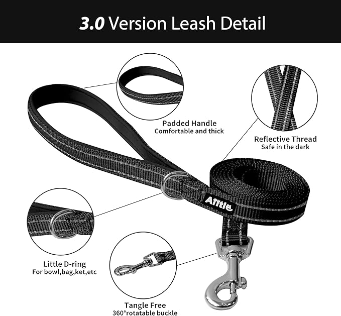 AIITLE Step in Dog Harness and Leash Set - Summer No Pull Escape Proof Vest Harnesses with Soft Mesh and Reflective Bands, Adjustable Pet Outdoor Harnesses for Small and Medium Dogs Black M