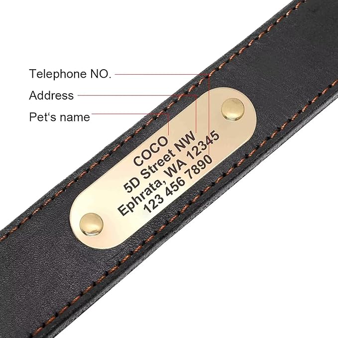 Didog Genuine Leather Dog Collars with Engraved Nameplate, Personalized Soft Leather Dog Collar with Custom ID Tag, Brown/Green/Red for Medium Large Dogs (XXL,Black)