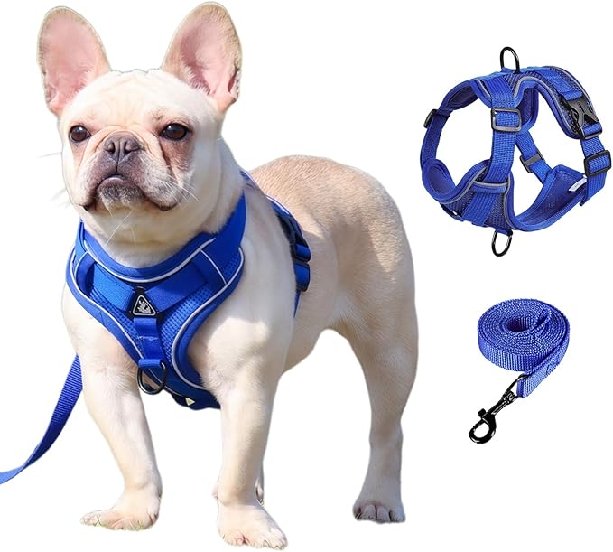 SOLMOONY Small Dog Harness,Soft Mesh Puppy Harness and Leash Set,No Escape Cat Harnesses for Training Walking,Reflective Adjustable Puppy Vest for Small Medium Dogs, Cats (Navy Blue, M)