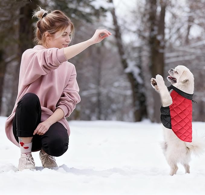 Quilted Dog Winter Coat, Plaid Lined Reversible Vest, Reflective Safety Strip, Cold Weather Pet Apparel Red XXS