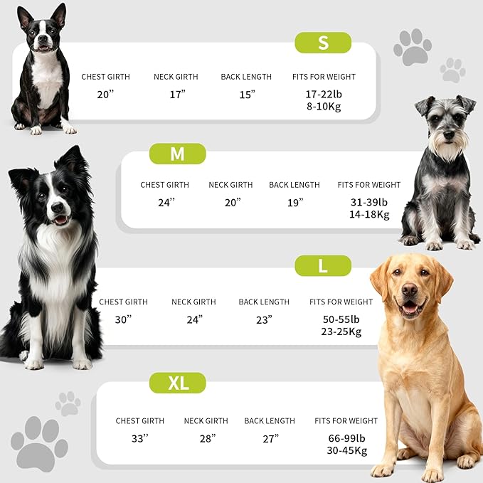 Dog Raincoat, Waterproof Windproof Dog Rain Jacket with Hood, Rain Coat with Leash Hole, Adjustable Raincoat Poncho for Small Medium Large Dogs Outdoor (Neon Yellow, Medium)