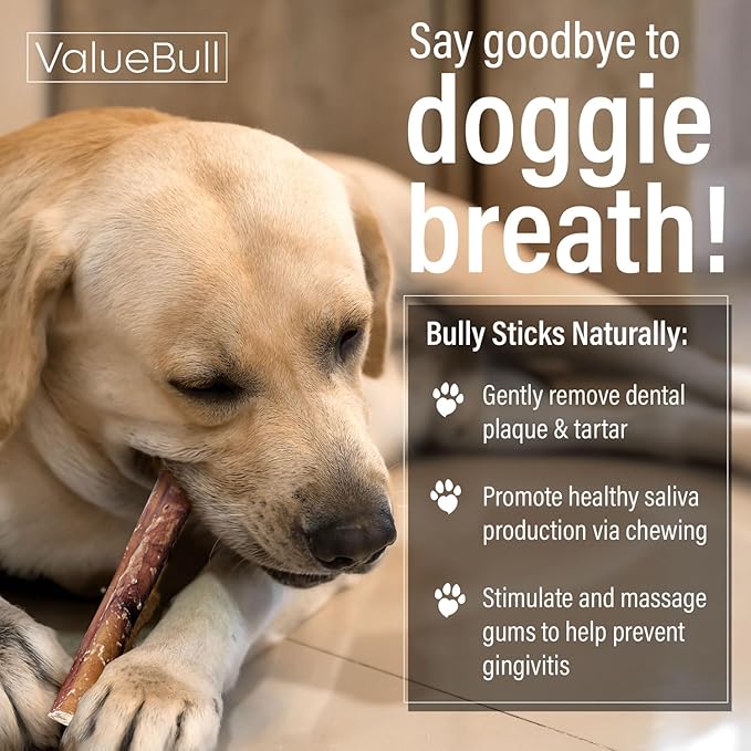 ValueBull Bully Sticks for Dogs, Thick 6 Inch, 200 Count Bulk Pack - All Natural, Grass Fed, Single Ingredient, Long Lasting Dog Treats
