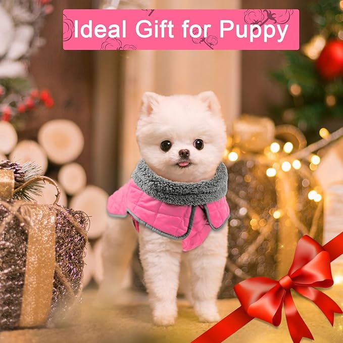 Fragralley Dog Winter Coat, Waterproof Windproof Reflective Fleece Jacket with Harness Hole, Warm Snow Vest for Small Medium Large Dogs, Ideal Gifts
