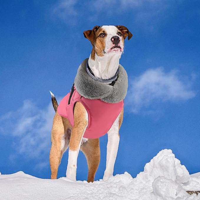 PETDSH Dog Coat Large, Windproof Dog Jacket with Warm Fleece Lining, Thickened Collar Dogs Winter Coat, Adjustable Reflective Pet Coats for Cold Weather (Pink, XX-Large)