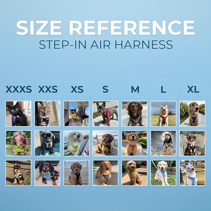 Best Pet Supplies Voyager Step-in Air Harness - All Weather Mesh, Reflective, No Pull Harness for Dogs, Cats - Secure with Hook & Loop Fastener, Buckle, Double D-Rings - Tone, L