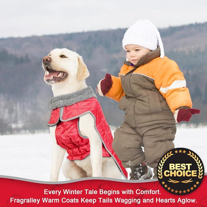 Fragralley Dog Winter Coat, Waterproof Windproof Reflective Fleece Jacket with Harness Hole, Warm Snow Vest for Small Medium Large Dogs, Ideal Gifts