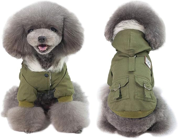 Warm Dog Hooded Trench Coat Windproof Parka Jacket for Cold Weather (S, Green)